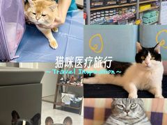 -美联众合爱康动物医院•复杂内科•肿瘤科•牙科•腔镜诊疗中心
