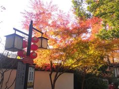 -上海醉白池公园