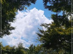 -莫干山风景区