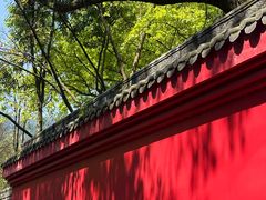 -峨眉山报国寺