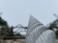 -百色大石围天坑群