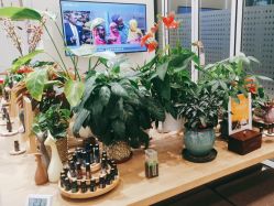 点击看大图 -dōTERRA多特瑞精油生活馆