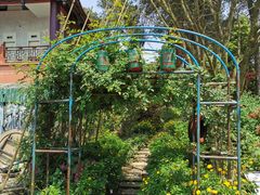 -铁山坪森林公园