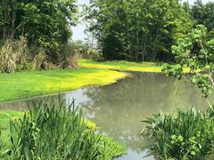 -桤木河湿地公园