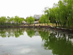 -大宁公园