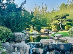 -诗经里