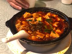 -陈麻婆豆腐总店