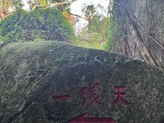 -青芝山风景名胜区