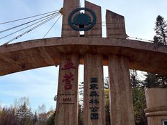 -五营红松林海景区