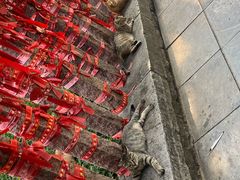 -四门塔风景区