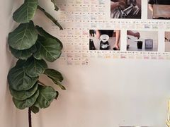 -纽巷咖啡 SOFTFOCUS COFFEE(锦和巴黎时韵店)