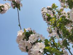 -小米烤肉·和牛原切-创意韩料(东关店)