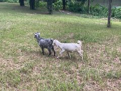 -福建鲤鱼洲酒店