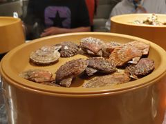 蛤蜊扇贝-龍歌自助小火锅(崂山丽达店)