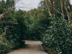 -西湖风景区-江洋畈生态公园