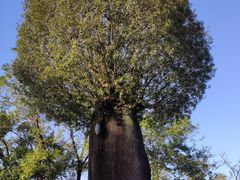 -Club Med地中海俱乐部·桂林度假村