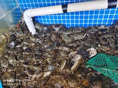 -蟹谢蒸鲜自助餐厅