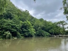 -黔灵山公园