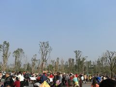 -枫香湖儿童公园