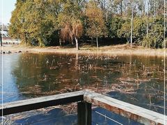 -长广溪湿地公园