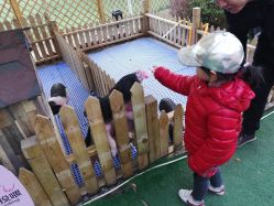 -萌宠亲子动物乐园(槐房万达店)