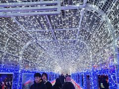 -南京眼步行桥