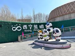 -青藏高原野生动物园