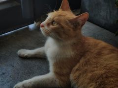 -隹木咖啡馆(宝龙广场店)