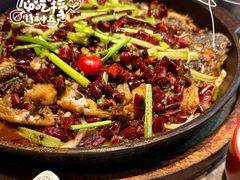 -老板恋上鱼(恒隆广场店)