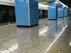 -大龙山(地铁站)