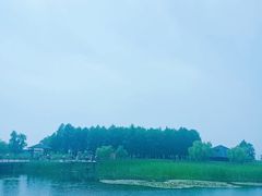 -苏州太湖湖滨国家湿地公园