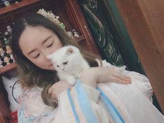 -福尔喵斯探案馆实景搜证·沉浸式剧本杀