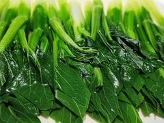 泉水菜心-欣悦府(城建大厦C座店)