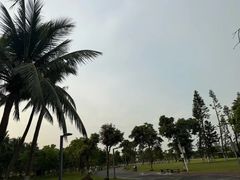 -万绿园