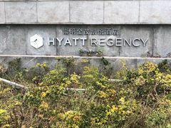 -上海崇明金茂凯悦酒店