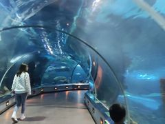 -石家庄海洋公园