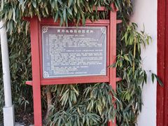 -燕郊植物园