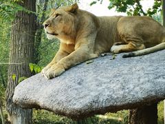 -北京野生动物园