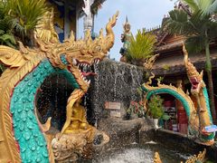 -西双版纳傣族园