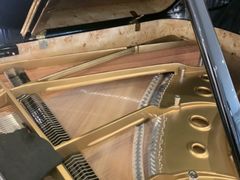 -柏斯音乐艺术中心·钢琴·吉他(上音店)