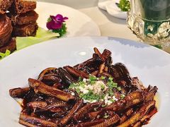 -蝶园·装修中(BFC外滩金融中心店)