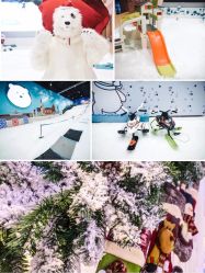 -Mr·Kuma酷么先生雪之乐园