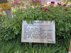 -丰台花园
