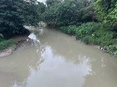 -广东花都湖国家湿地公园