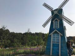 -铁山坪森林公园