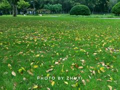 -后襄河公园