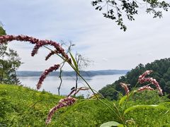 -萨尔浒风景区