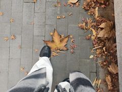 -超级鸡车(曹杨路店)