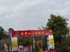 -白云山风景名胜区