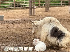 -太原动物园